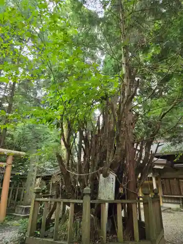 幣立神宮(熊本県)