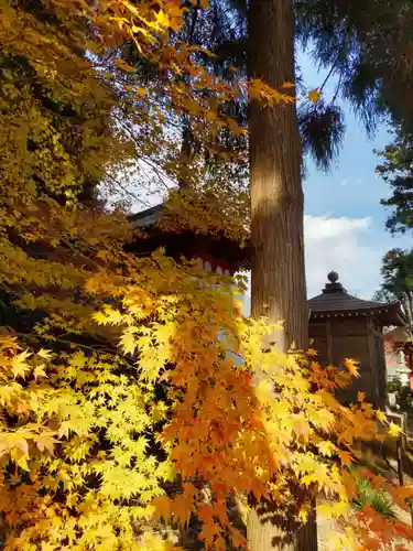 安楽寺の末社・摂社