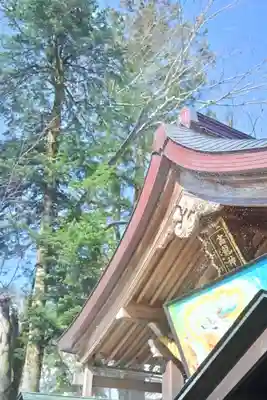 高龍神社(新潟県)
