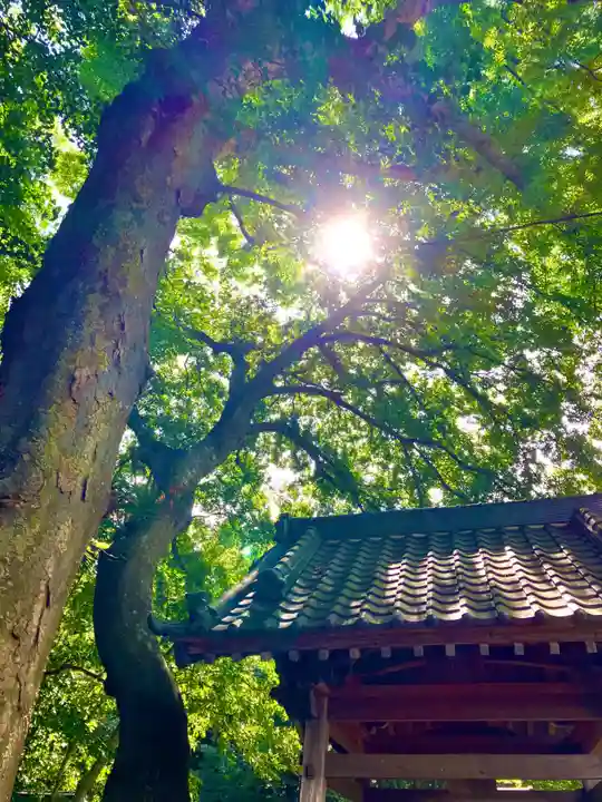 歓喜院(茨城県)