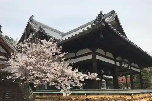 安倍文殊院 の本殿・本堂