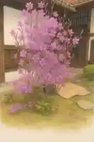 木舟山 順教寺(広島県)