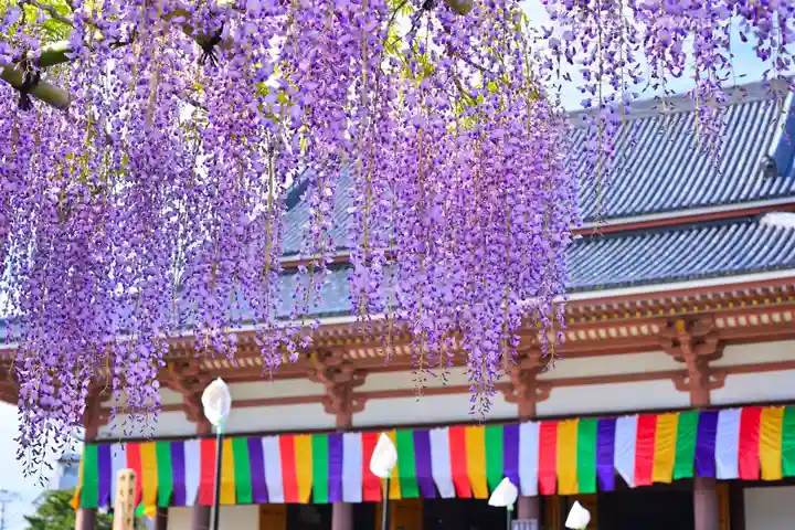 西新井大師総持寺(東京都)