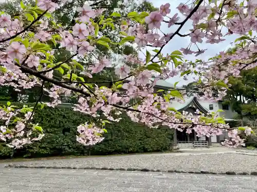 武蔵野八幡宮(東京都)
