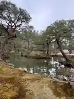 慈照寺(慈照禅寺・銀閣寺)(京都府)