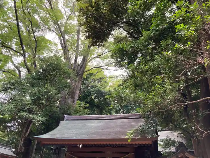 駒木諏訪神社(千葉県)