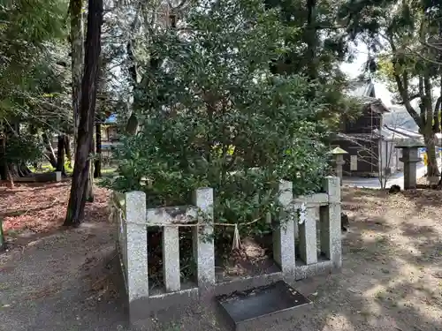 入見神社(愛知県)
