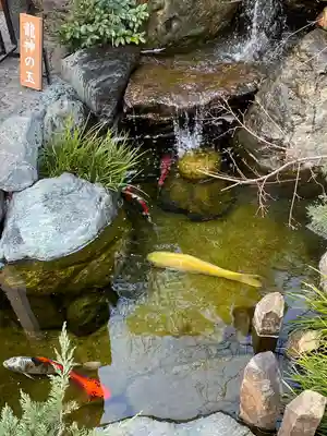 蛇窪神社(東京都)