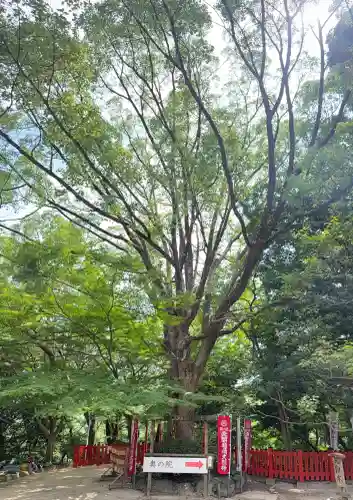 天開稲荷社(福岡県)