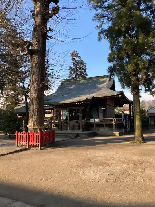 八坂神社(葛生町)(栃木県)
