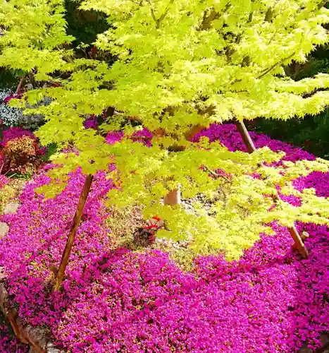 寿量山　速成寺(奈良県)