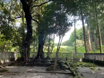山宮浅間神社(静岡県)