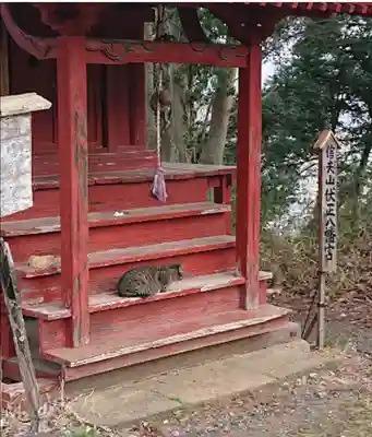 信夫山伏正八幡宮(福島県)