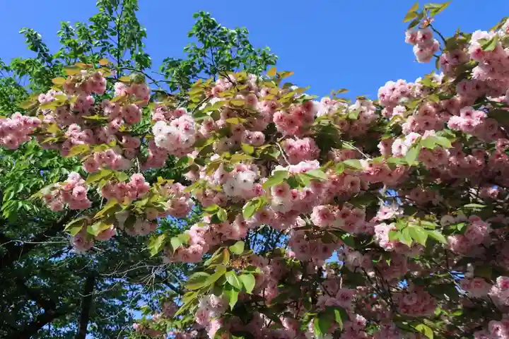 熊野福藏神社の庭園