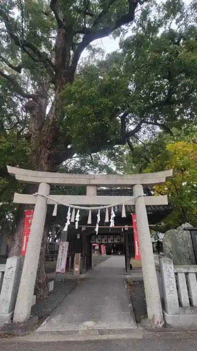 高忍日賣神社(愛媛県)