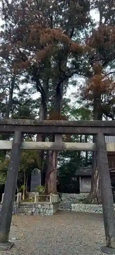 白髭神社(静岡県)