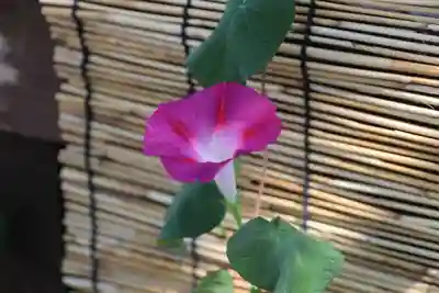 阿邪訶根神社の芸術