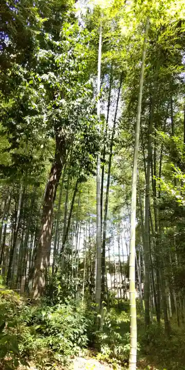 向日神社(京都府)
