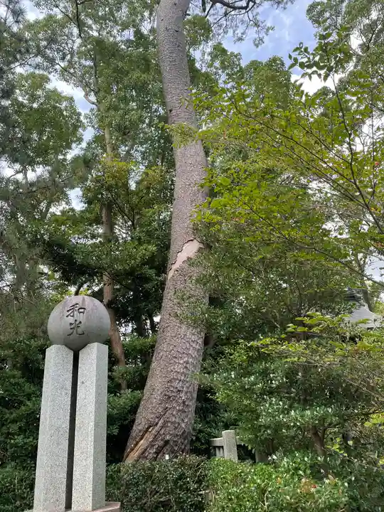 宮山神社の自然