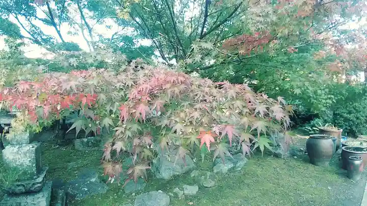 伊勢の国 四天王寺(三重県)