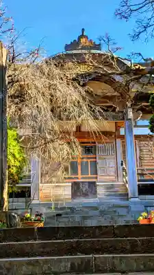 本光寺(千葉県)