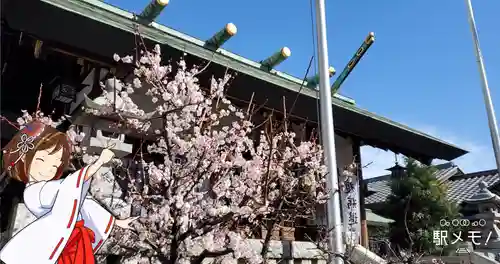 小菅神社の本殿・本堂
