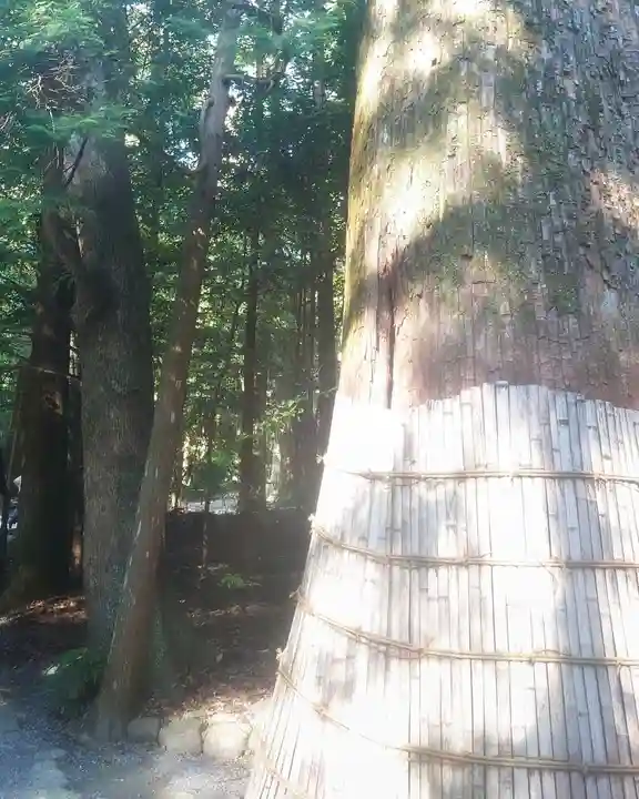 伊勢神宮内宮(皇大神宮)(三重県)