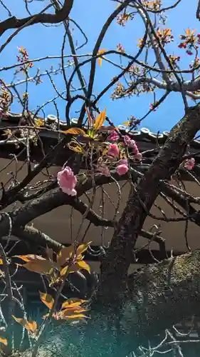 本昌寺(京都府)