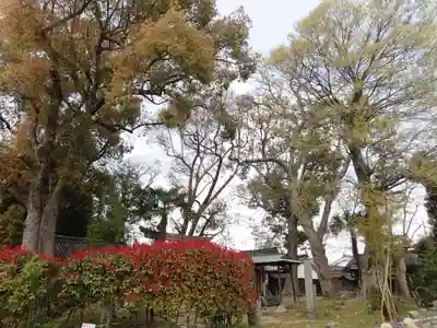鏡作麻気神社の景色
