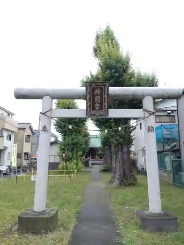 本行徳神明社の鳥居