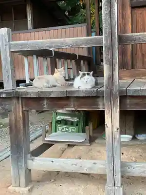 観音寺(愛知県)