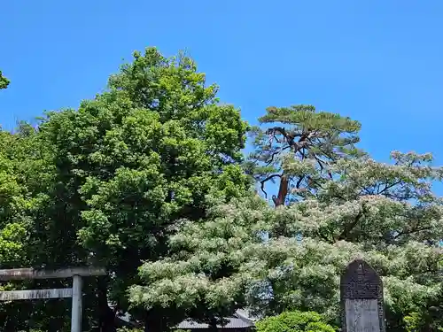 箭弓稲荷神社の自然