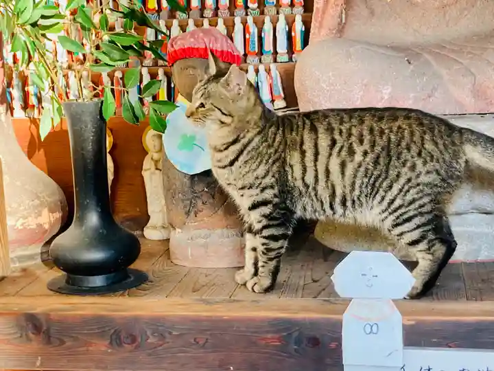 福住寺の動物