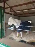 大和国鹿島香取本宮(奈良県)