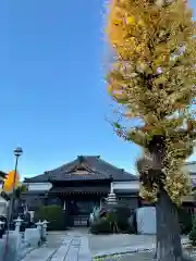 本榮寺（本栄寺）の本殿