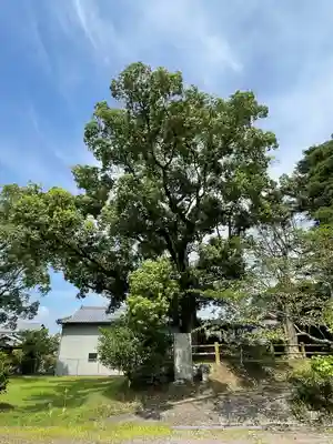 春日神社(長崎県)