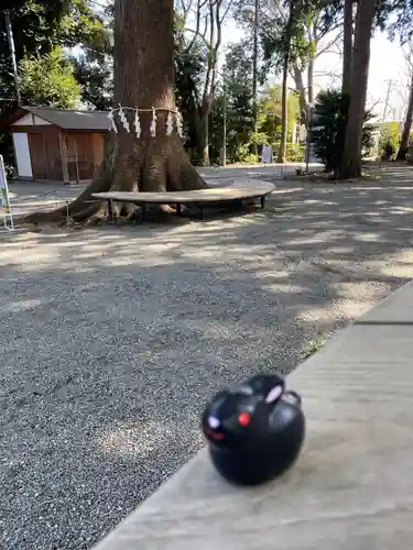 星川杉山神社(神奈川県)