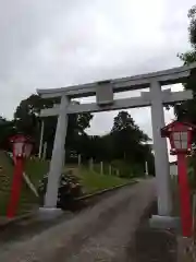 河内阿蘇神社の鳥居