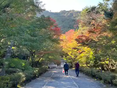 二尊院(京都府)