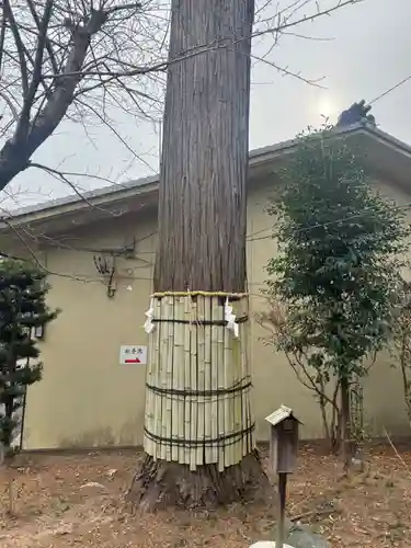 伊奈冨神社(三重県)