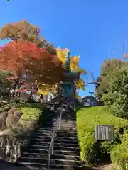 増上寺(東京都)