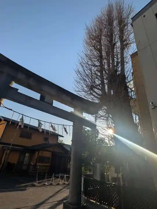 根岸八幡神社(神奈川県)