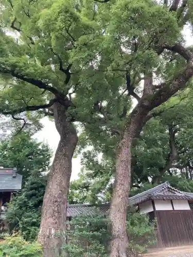 常磐神社(京都府)