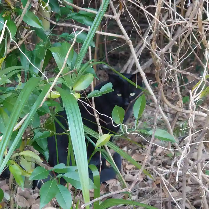 興聖寺(栃木県)