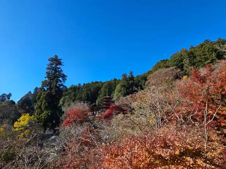 長谷寺(奈良県)