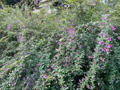 常林寺(京都府)