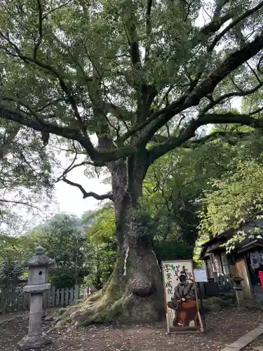 松森天満宮(長崎県)