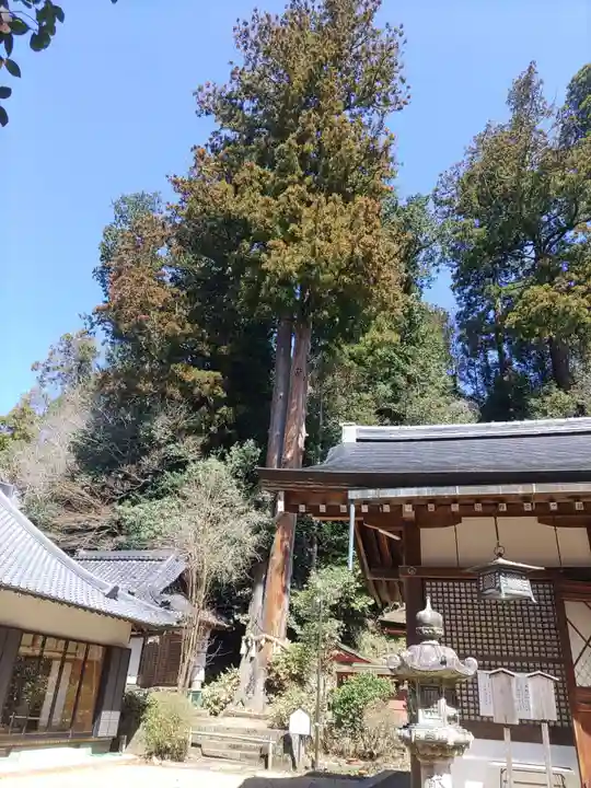 宇太水分神社(奈良県)