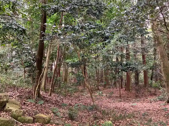 奥石神社の自然