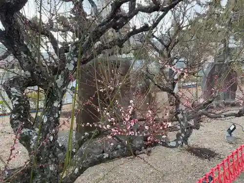 綱敷天満宮(兵庫県)